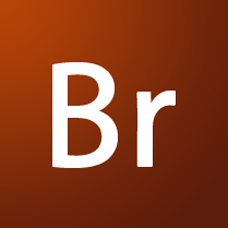 adobe bridge logo