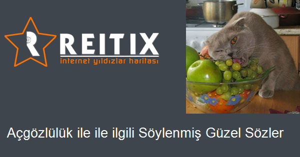 Atasözü çocuklarla ilgili açgözlülük Atasözü çocuklarla ilgili açgözlülük